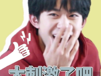 崽崽娱乐圈吃瓜,揭秘明星幕后故事，吃瓜群众狂欢盛宴