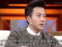 东山再起娱乐圈,娱乐圈传奇归来之路