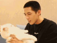 娱乐圈吃瓜爆料王安宇,娱乐圈幕后真相大曝光