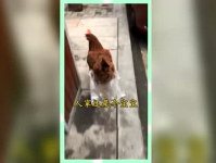 吃瓜群众纯属娱乐,纯属娱乐，揭秘娱乐圈幕后故事