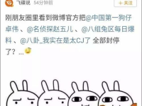 娱乐吃瓜大事件,揭秘年度最热吃瓜大事件