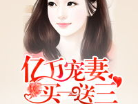 亿万老婆买一送一全文免费阅读,豪门恩怨，爱恨纠葛的巅峰对决