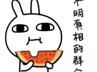 娱乐吃瓜酱过早懂事,娱乐吃瓜酱的成长轨迹揭秘